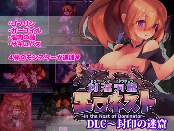 Eronest of the Sealed Cave DLC: Sealed Labyrinth